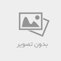 رایان زیست آریا
